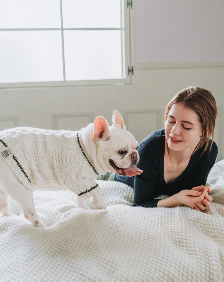 フレンチブルドッグと暮らす日常シーン2