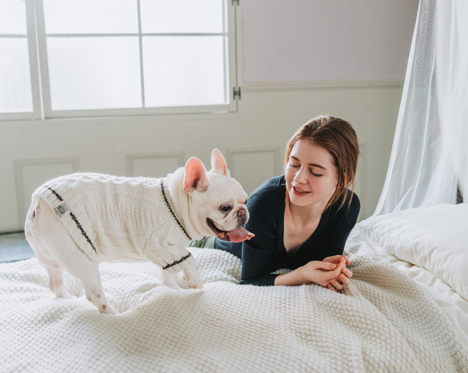 フレンチブルドッグと暮らす日常シーン2