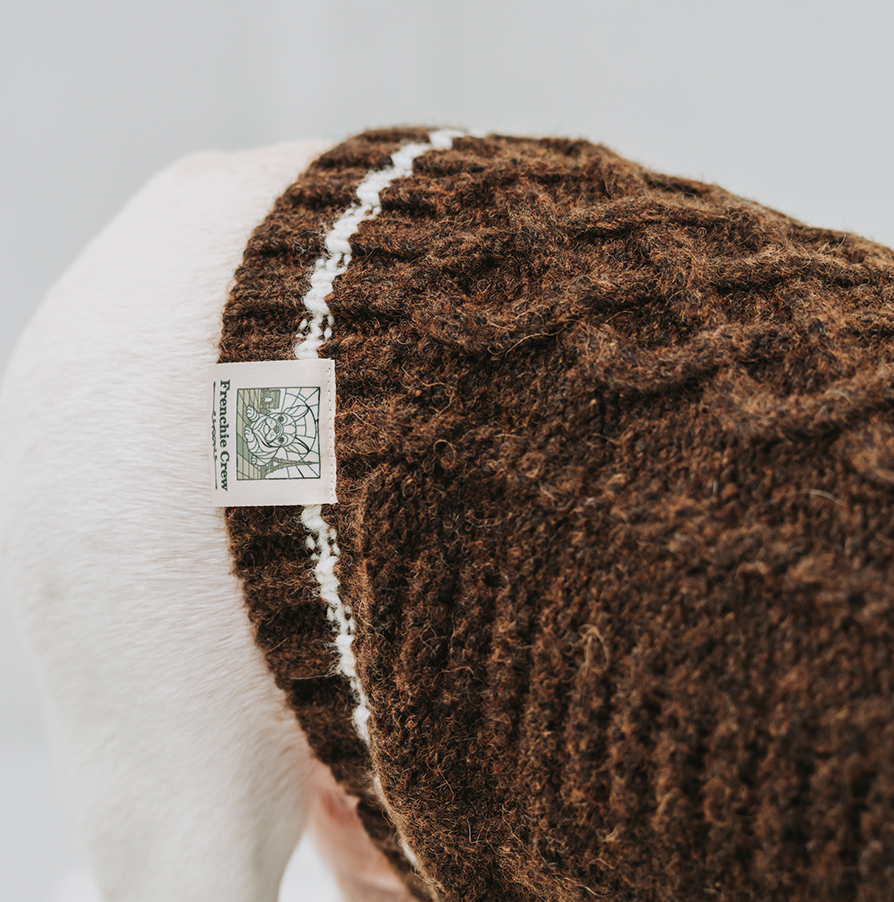 バスケットに並んで座る2匹のフレンチブルドッグ